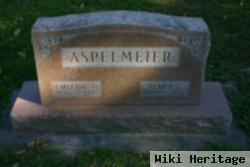 Elmer Henry Aspelmeier