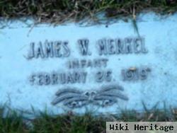 James W Merkel