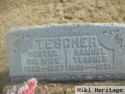 Hester Ann Sylvester Tescher