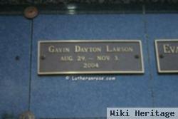 Gavin Dayton Larson