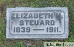 Elizabeth N Steuard