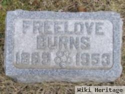 Freelove "lovie" Oatman Burns