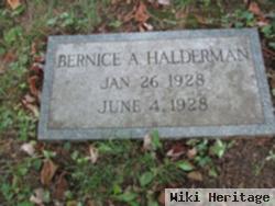 Bernice A. Halderman