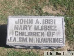 John A. Hawkins