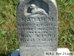 Sarah M Holsinger