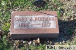 Cary J. Norman