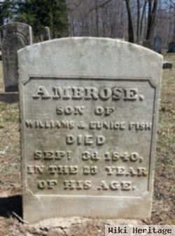 Ambrose Fish