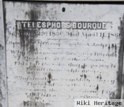 Telesphore Bourque