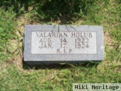 Valarian Holub