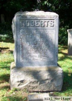 Walter E Roberts