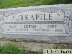 Edward Purkapile