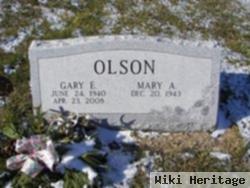 Gary E Olson