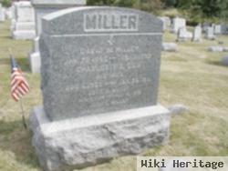 David William Miller