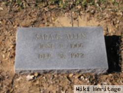 Sara Gillis Allen