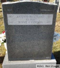 Antonio Muschiano