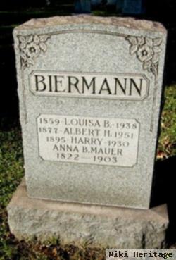 Harry Biermann