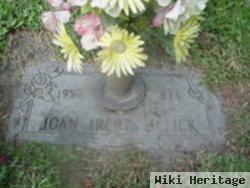 Joan Irene Mezick