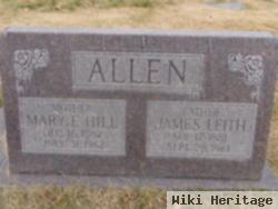 Mary Eliza Hill Allen