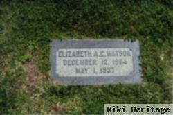 Elizabeth Antoinette "liz" Chapuis Watson