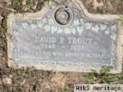 David P Trout