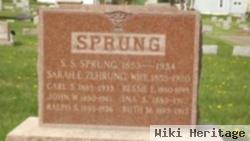 Sarah E. Zehrung Sprung