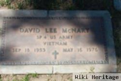 David Lee Mcnary