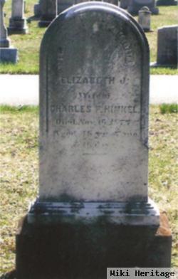 Elizabeth J Hinkel