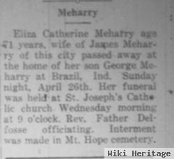 Eliza Catherine Hagley Meharry