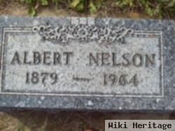 Albert Nelson