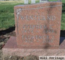 Stephen C Wentland