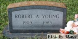 Robert Amos Young