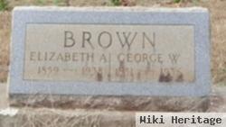 Elizabeth Ann Cunningham Brown