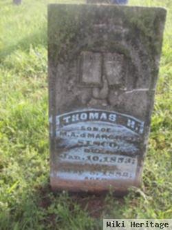 Thomas H Sisco