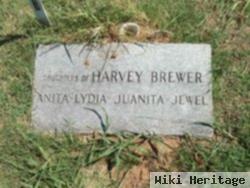 Jewel Brewer