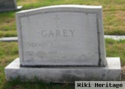 Vernon J Carey