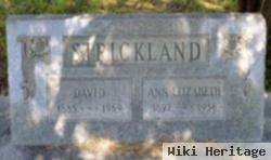 David Strickland