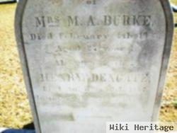 Mary Ann Dengate Burke