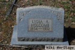 Lydia Ann Morgan Holcomb