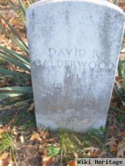 David R Calderwood