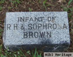 Infant Brown