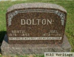 Joel G Dolton