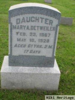 Mary Ann Detweiler