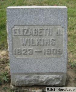 Elizabeth J Wilkins