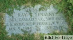 Ray W Senseny