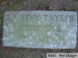 Timothy Taylor