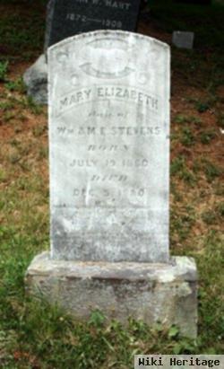 Mary Elizabeth Stevens