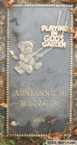 Andrean M Metzger