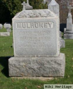 Michael Mulroney, Jr