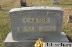 Sallie E. Hilton Carter