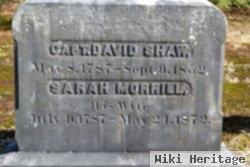 Sarah Morrill Shaw